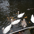 DSCN1877